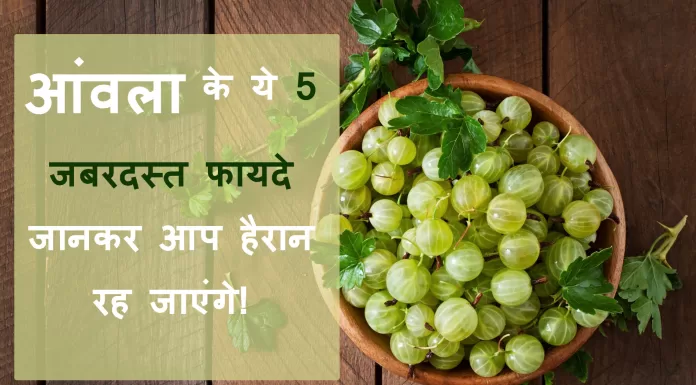 रोज सिर्फ 1 आंवला खाएं और बदल जाएगी आपकी जिंदगी! Aamla ke fayde aur Upyog Aamla ke fayde aur Upyog