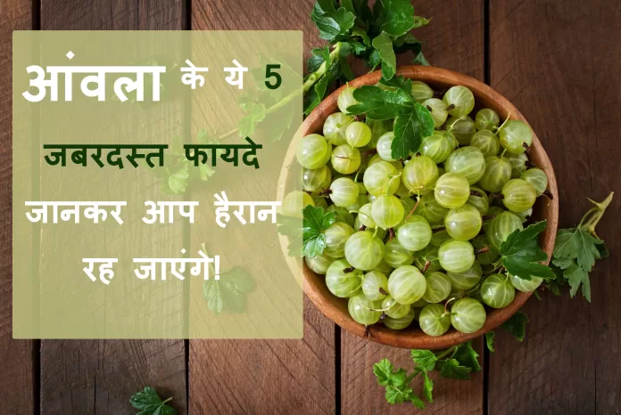 Aamla ke fayde aur Upyog Aamla ke fayde aur Upyog