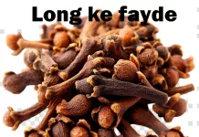 लौंग के फायदे (Long ke fayde), उपयोग और सावधानियाँ – Cloves (Laung) benefits in Hindi cloves - Long ke fayde