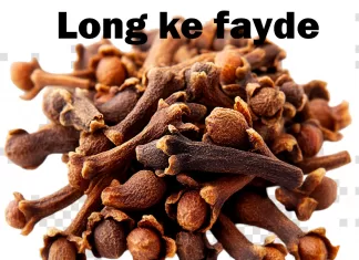 cloves - Long ke fayde