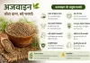 ajwain benefits in hindi
