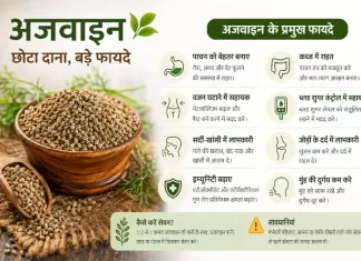 अजवाइन के फायदे: वजन घटाने और पाचन के लिए 15 वैज्ञानिक लाभ और सही तरीका ajwain benefits in hindi