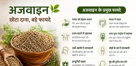 अजवाइन के फायदे: वजन घटाने और पाचन के लिए 15 वैज्ञानिक लाभ और सही तरीका ajwain benefits in hindi